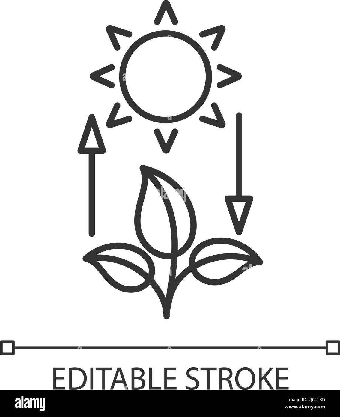 Photosynthesis linear icon Stock Vector Image & Art Alamy