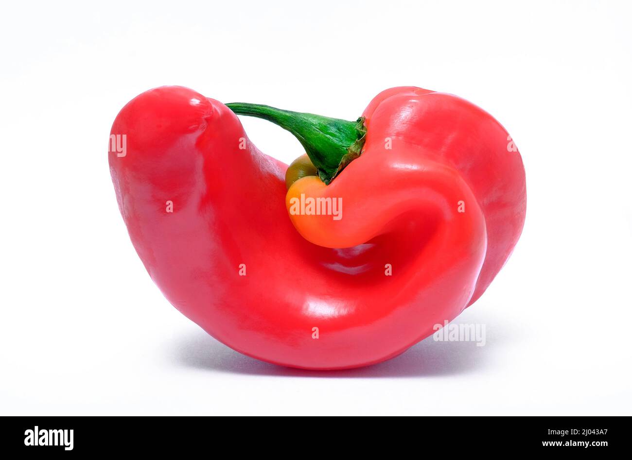 red romero pepper on white background Stock Photo