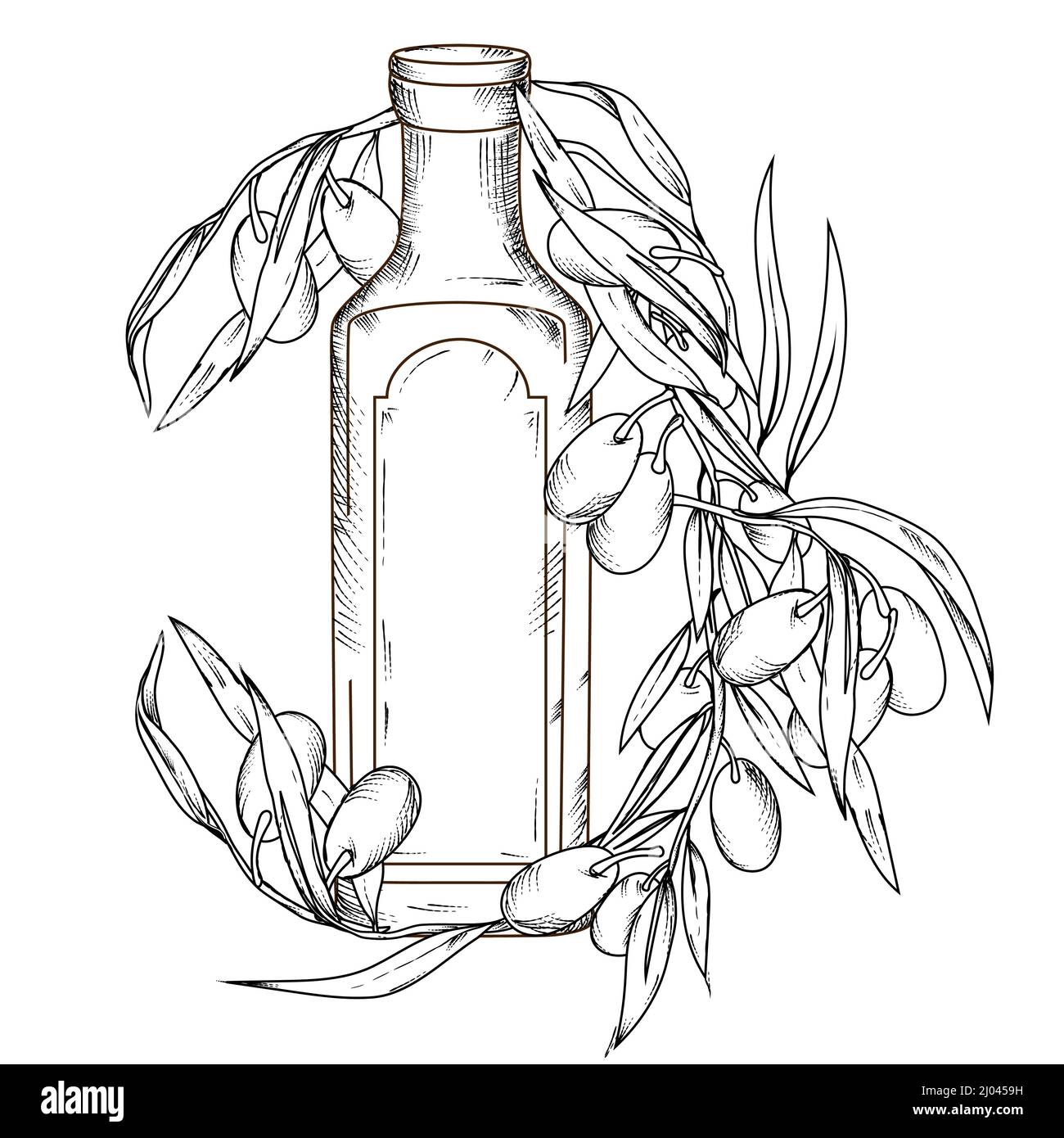 Olive oil bottle and fresh olives on branch in hand drawn vintage style ...