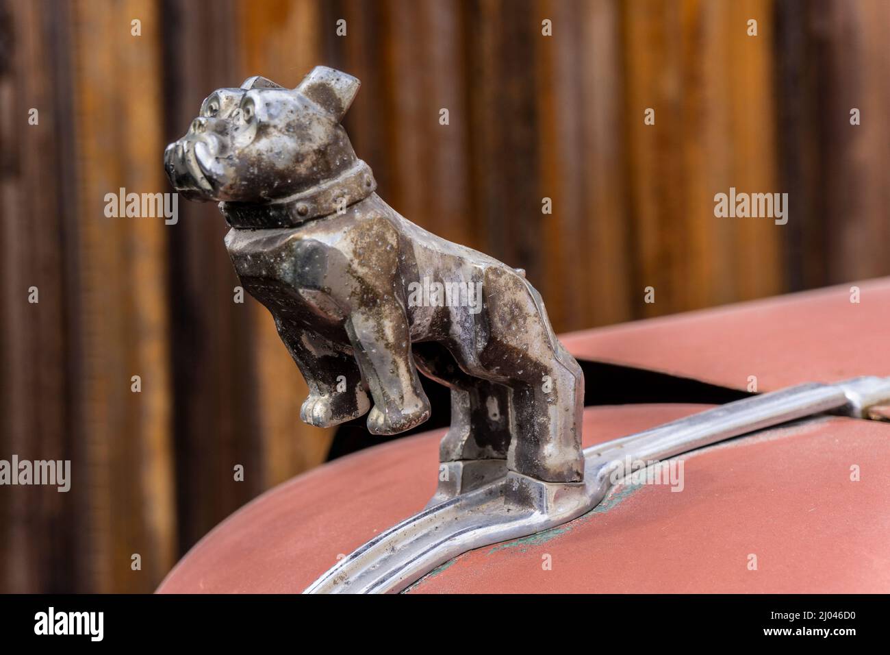 Mack Truck Bulldog Tattoo
