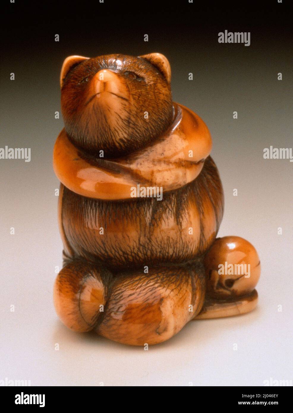 Ivory with deep staining sumi hi-res stock photography and images - Alamy
