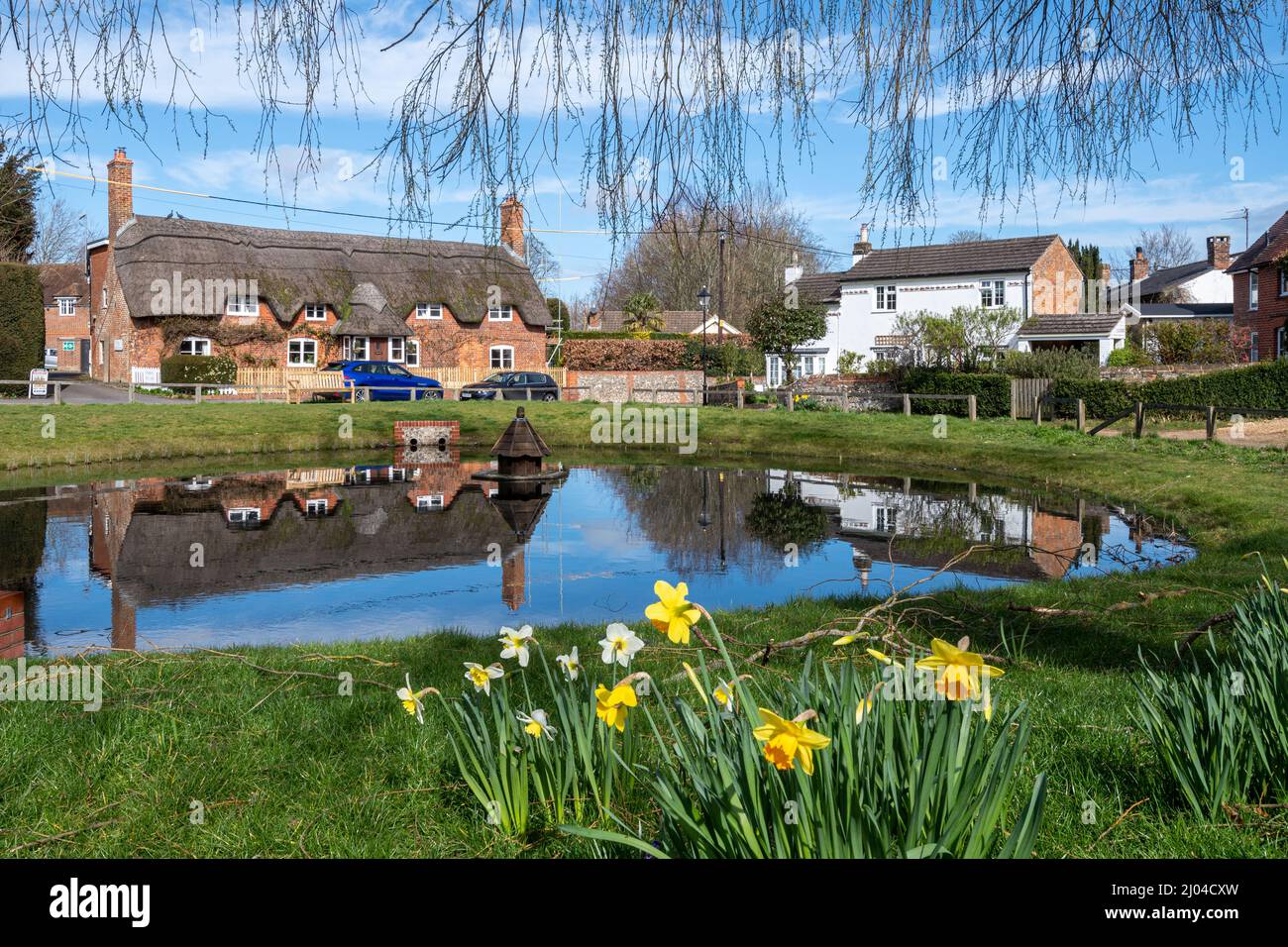 Oakley village centre with daffodils by the duck pond during spring