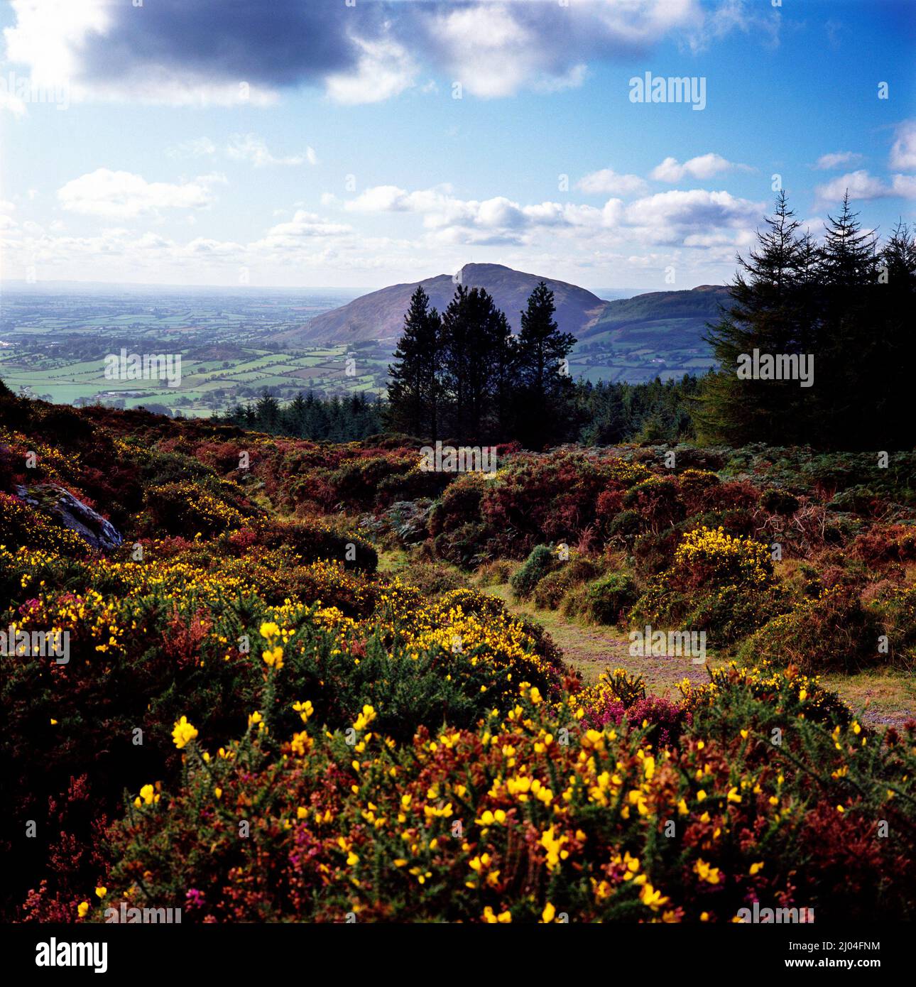 View from Slieve Gullion Ring of Gullion South Armagh Northern Ireland Stock Photo