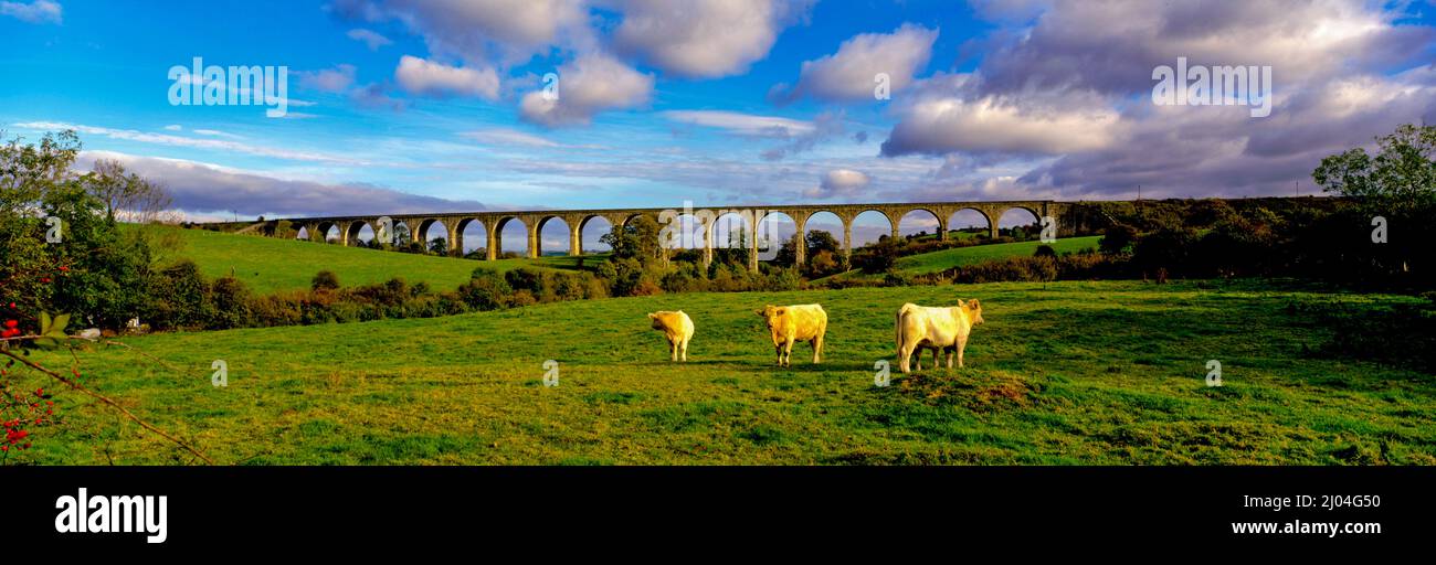 Craigmore Viaduct the highest in Ireland at Newry, County Down, Northern Ireland Stock Photo