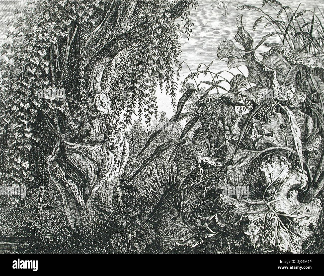 A Tree with Giant Vegetation. Carl Wilhelm Kolbe I (Germany, Berlin ...
