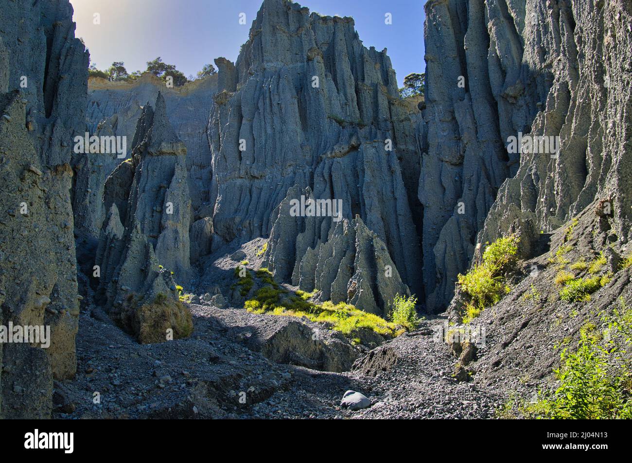 Narrow canyons between the Putangirua Pinnacles, eroded gravel spires, in Aorangi Forest Park, Greater Wellington, North Island, New Zealand Stock Photo