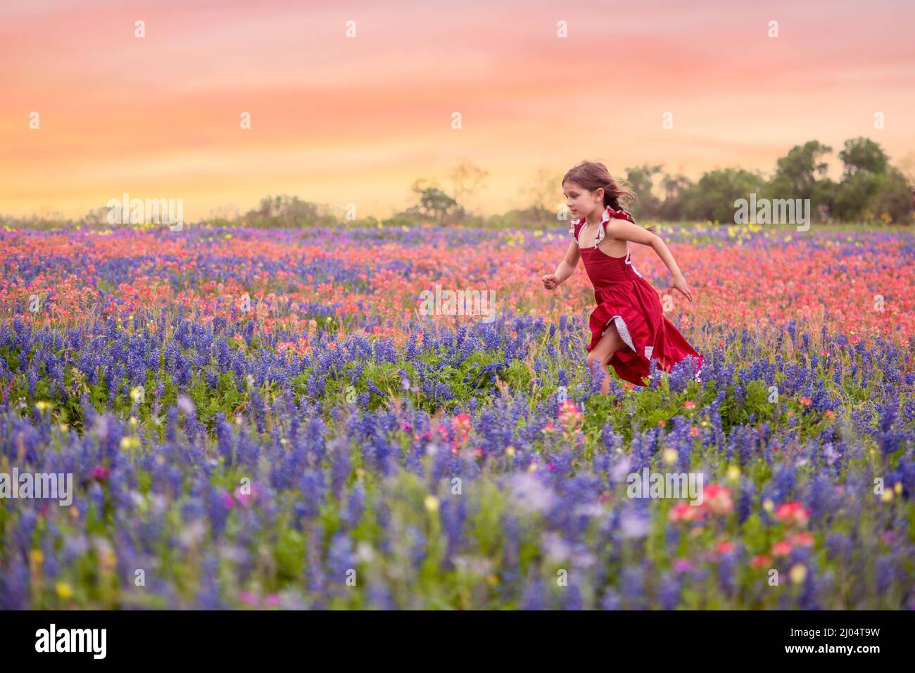 Girl In Red Dress Running In Texas Wildflower Field Stock Photo