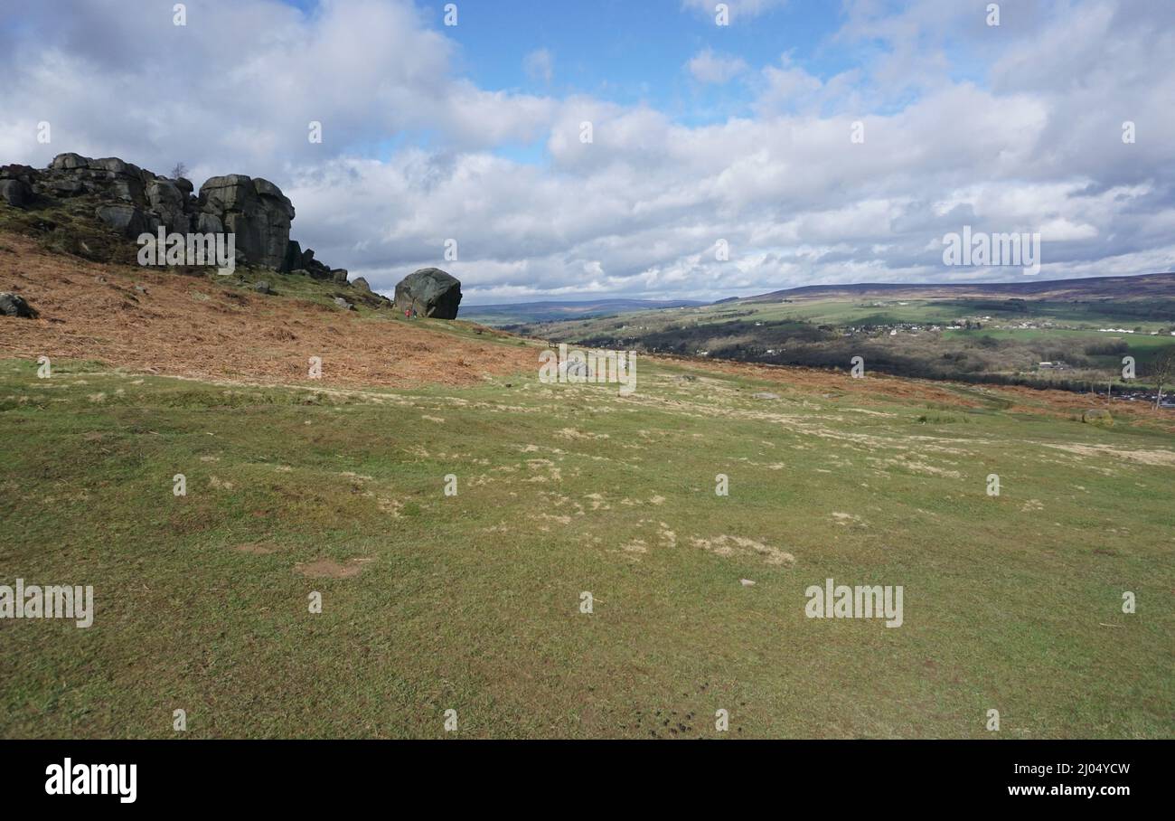 Cow and Calf, Ilkley Moor Stock Photo Alamy