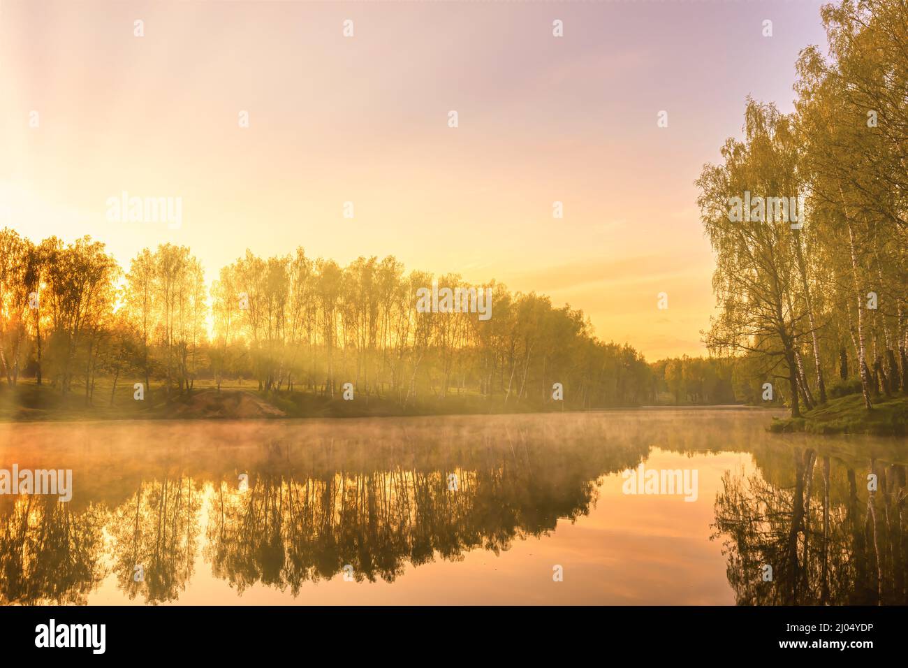 Sunrise on a pond with birch trees growing along the banks, sunbeams breaking through that and the sky reflected in the water in early summer. Stock Photo