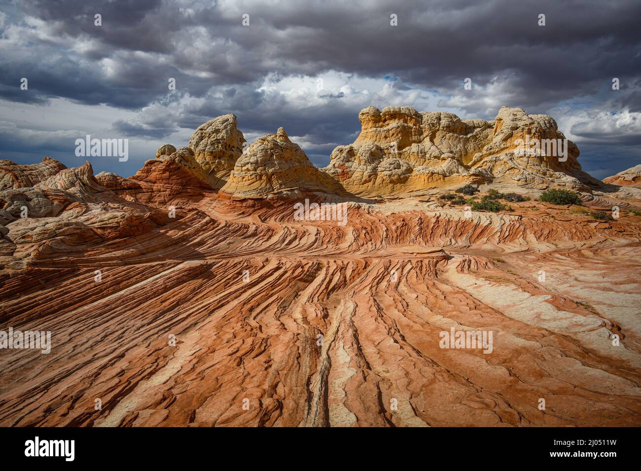 Sandstone formations at White Pocket, Vermillion Cliffs National Monument, Arizona. Stock Photo