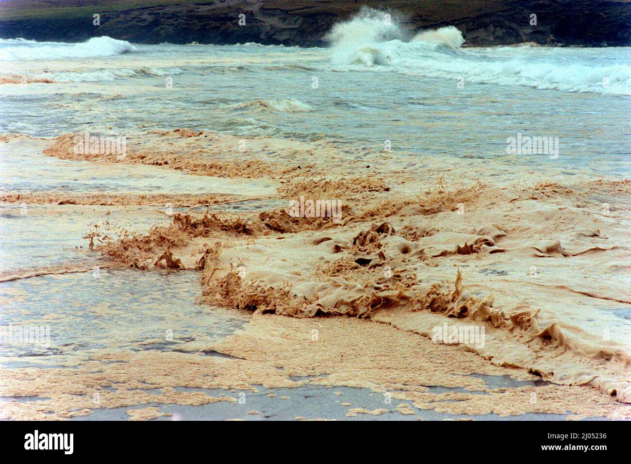 The time of the Braer oil disaster, in , Scotland, January 1993 Stock Photo Alamy