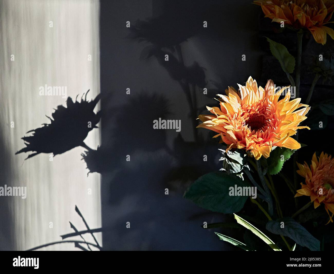 Bright yellow silk flower arrangement with a contrasting silhouette of the same flower on the wall. Stock Photo
