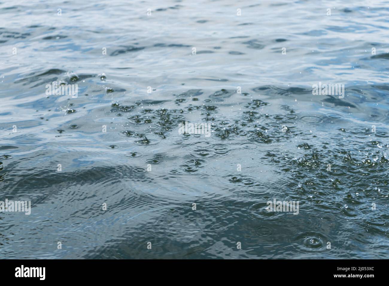 Ripples from rain droplets falling on water surface Stock Photo