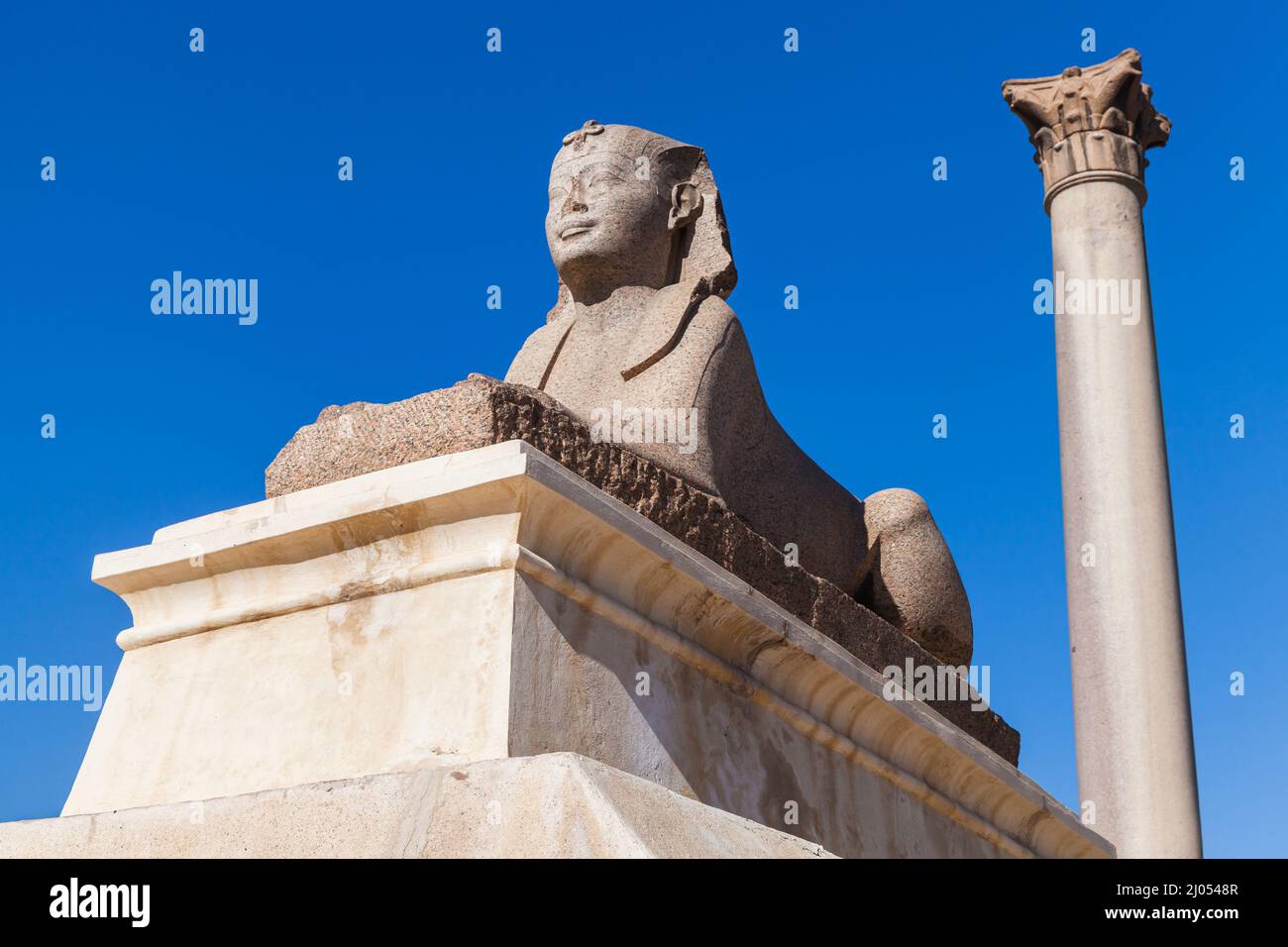 Ancient sphinx with Pompeys Pillar on a background. Alexandria, Egypt Stock Photo