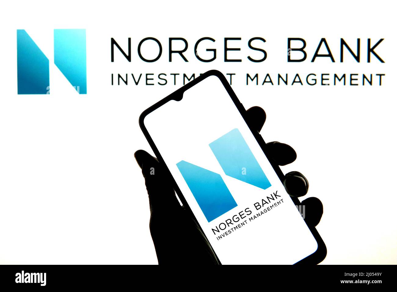 In this photo illustration a Bank Investment Management logo