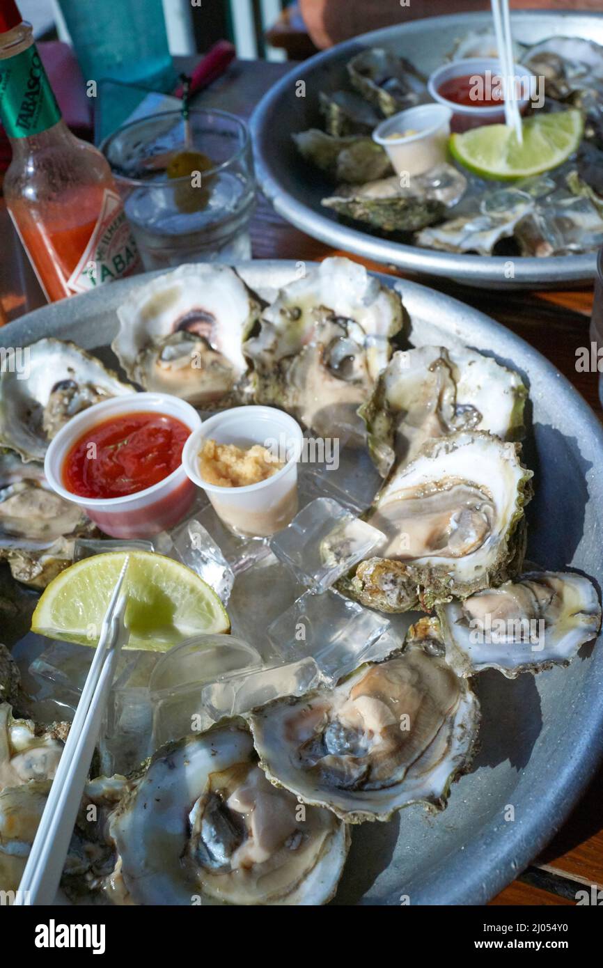 Raw oysters at the Half Shell Raw Bar and restaurant in the Marina in Key West, Florida, FL, USA  Opened in 1972 Stock Photo