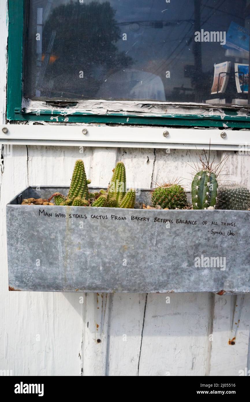 Cactus in window planter box on the outside of the Old Town Bakery in Key West, Florida.  Humorous inscription is warning about stealing the cactus. Stock Photo
