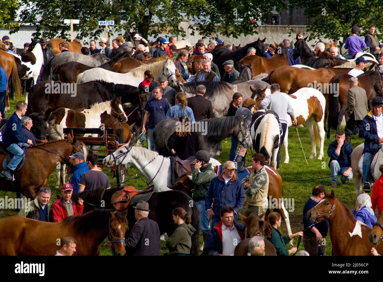 Ballinasloe Horse Fair, County Galway, Ireland Stock Photo Alamy