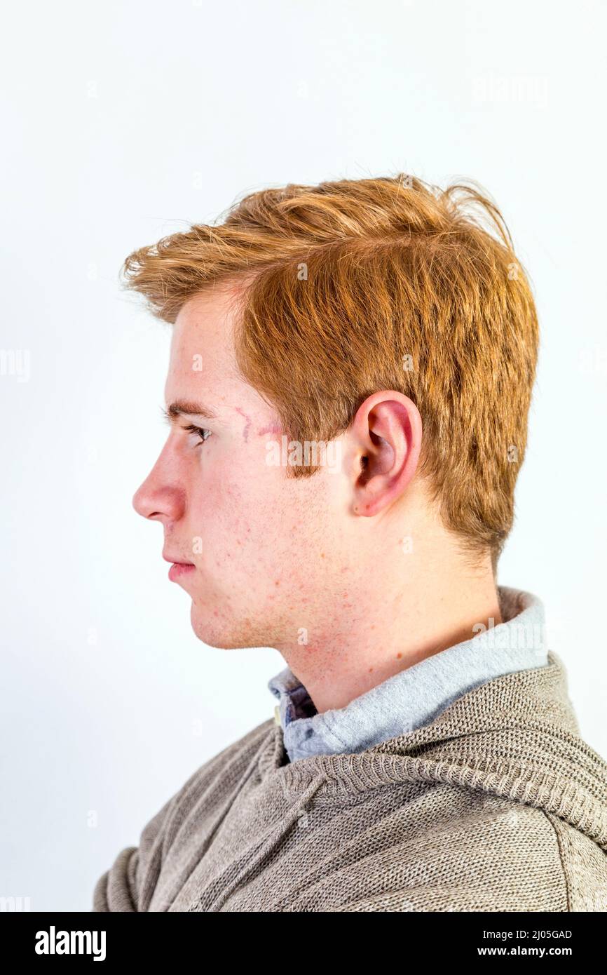 portrait of cute teenage boy with red hair Stock Photo Alamy