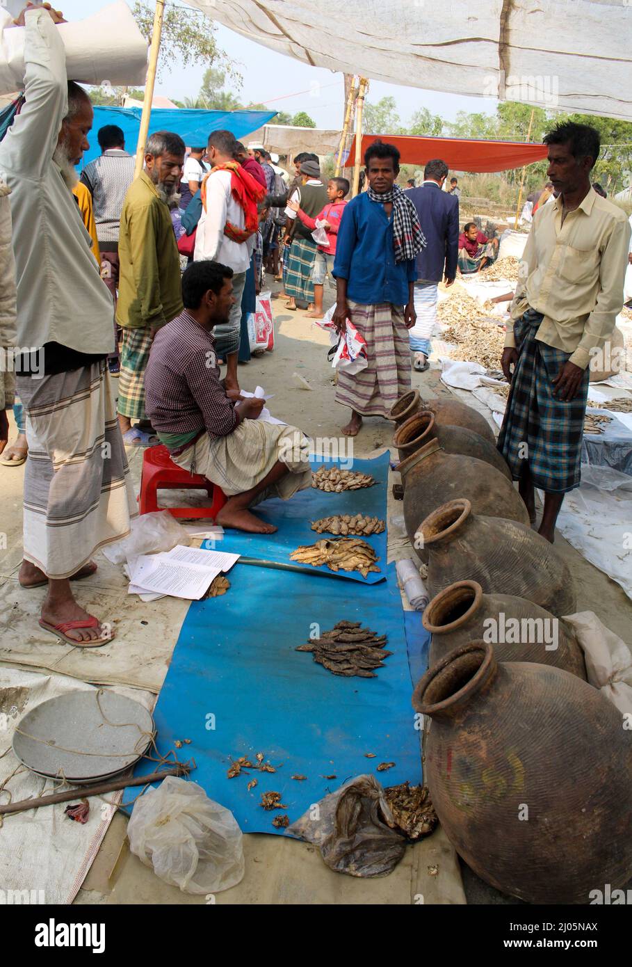 Dry Fish The Village Market in Bangladesh Stock Photo