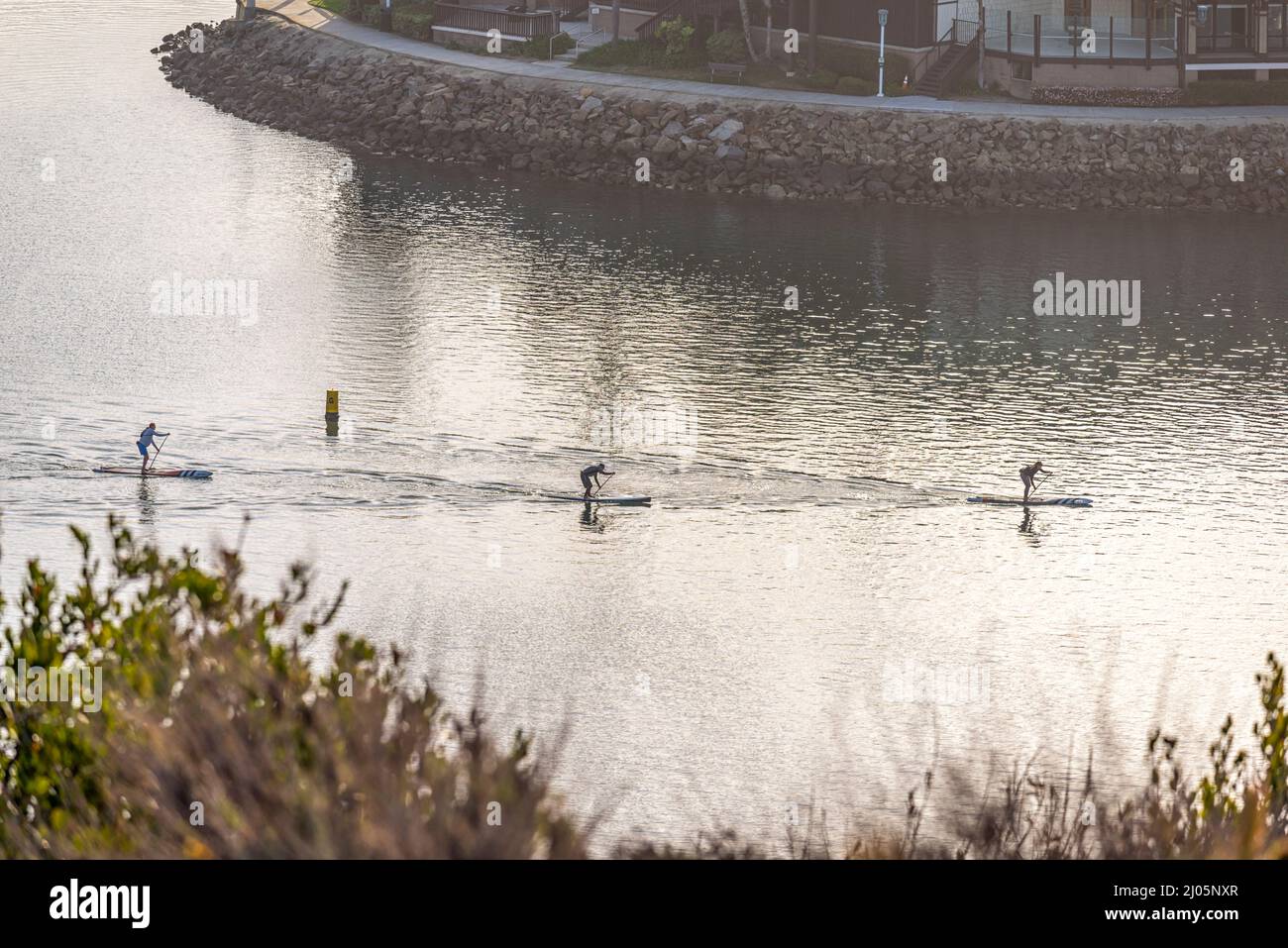 Paddleboarders. Dana Point, California, USA. Stock Photo