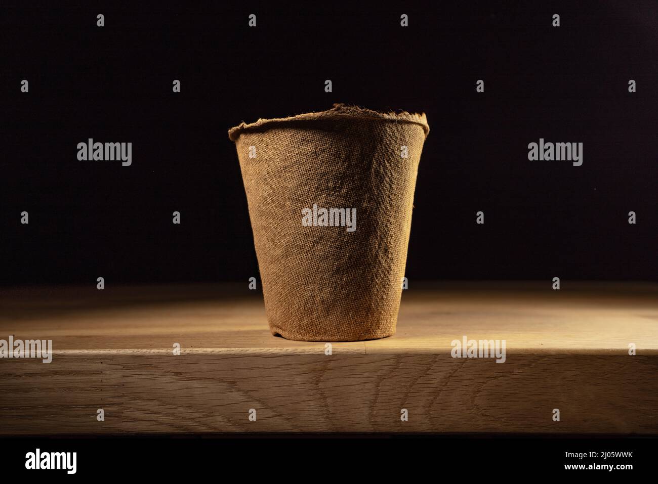 Fibre paper gardening pot. Recycled paper cup for seedlings on wooden ...