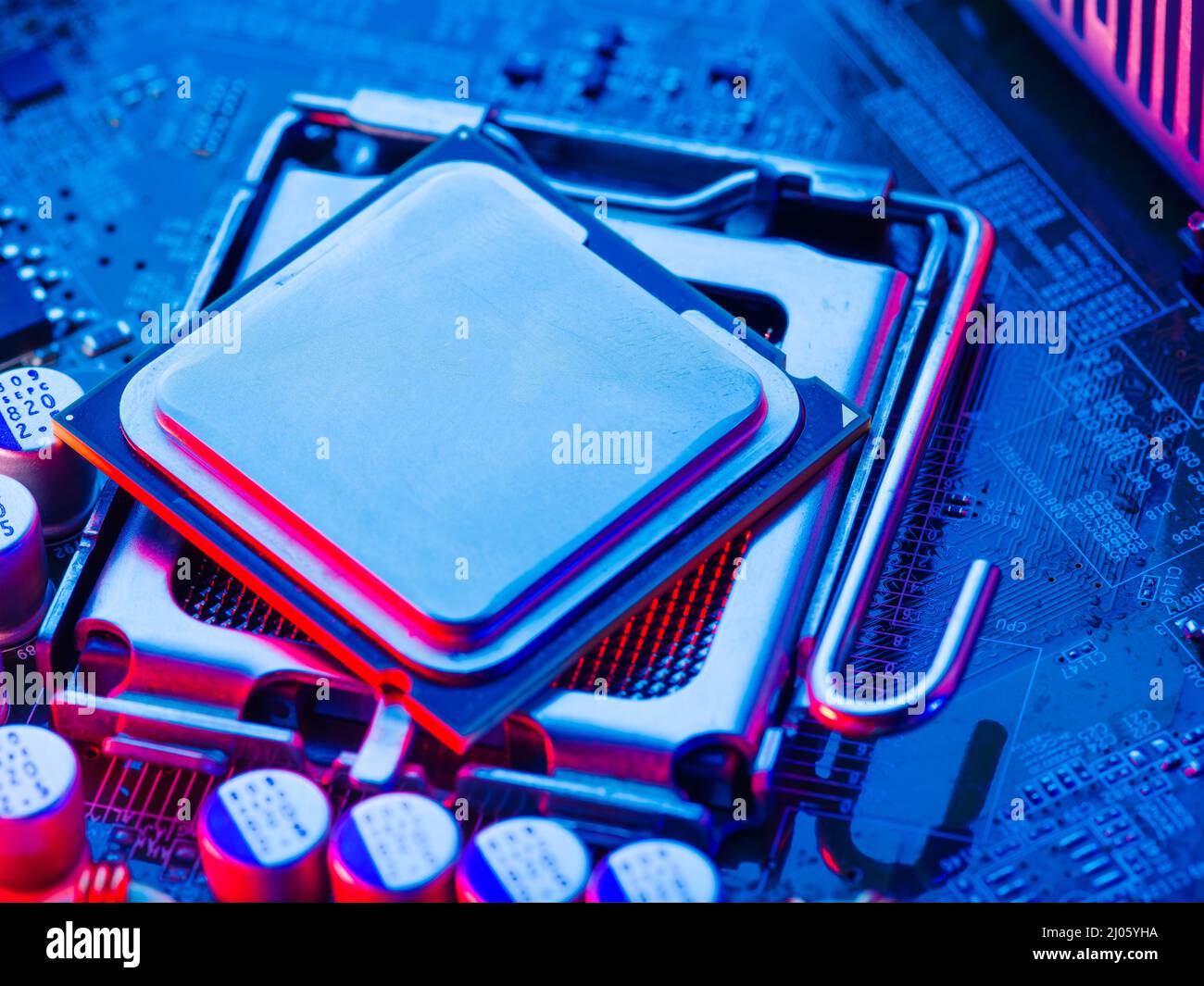 The desktop of the processor lies with the contacts up on the motherboard of a personal computer. Neon lighting. Technological background. Repair, net Stock Photo