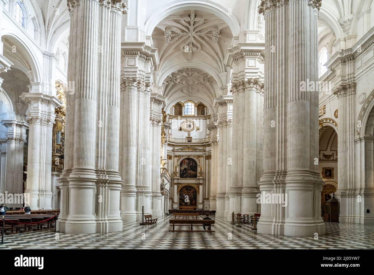 Korinthische Säulen im Innenraum der Kathedrale Santa María de la Encarnación in Granada, Andalusien, Spanien  |  Corinthian columns of the Cathedral Stock Photo