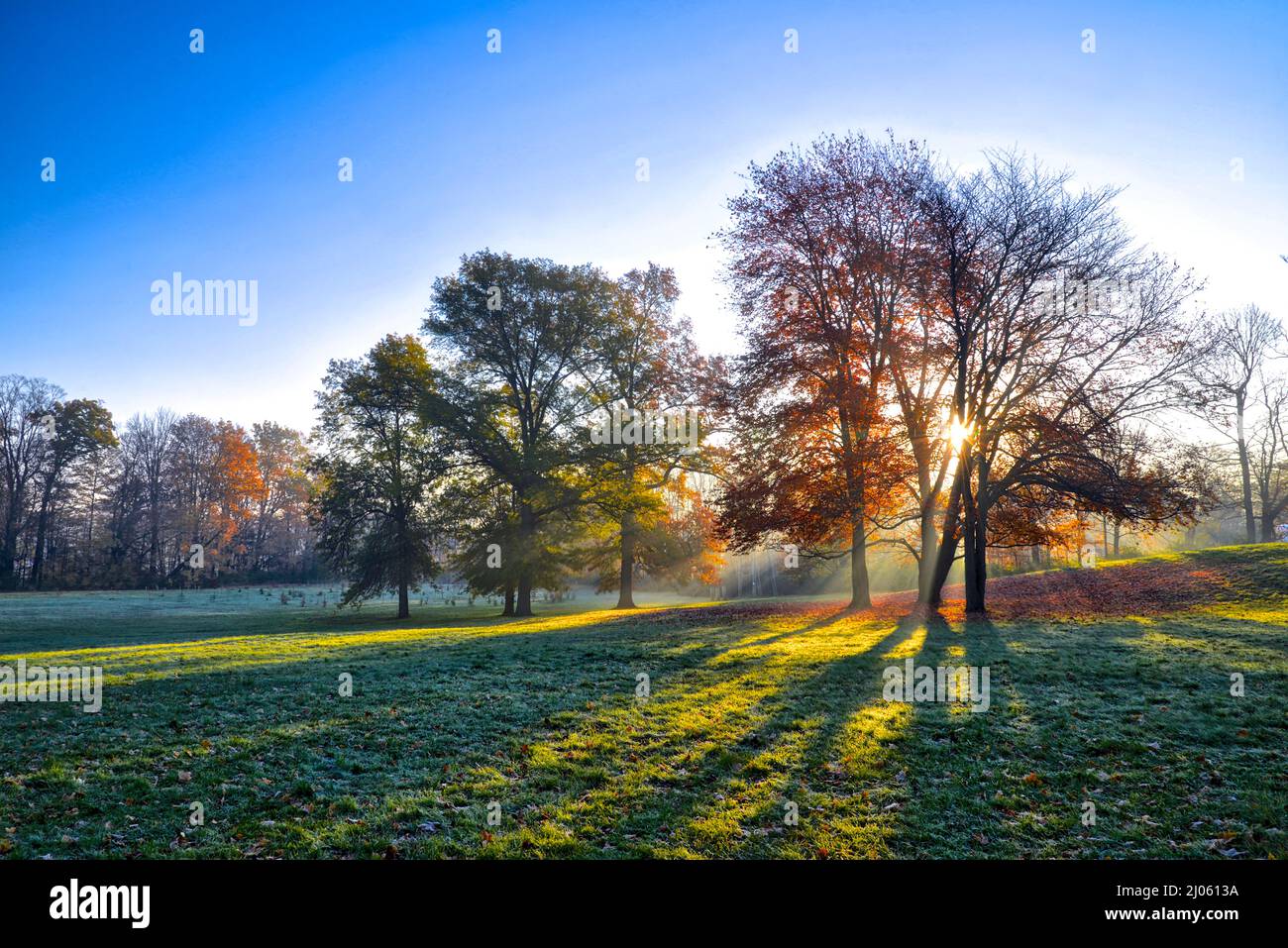 Lens flare morning sun rays hi-res stock photography and images - Alamy