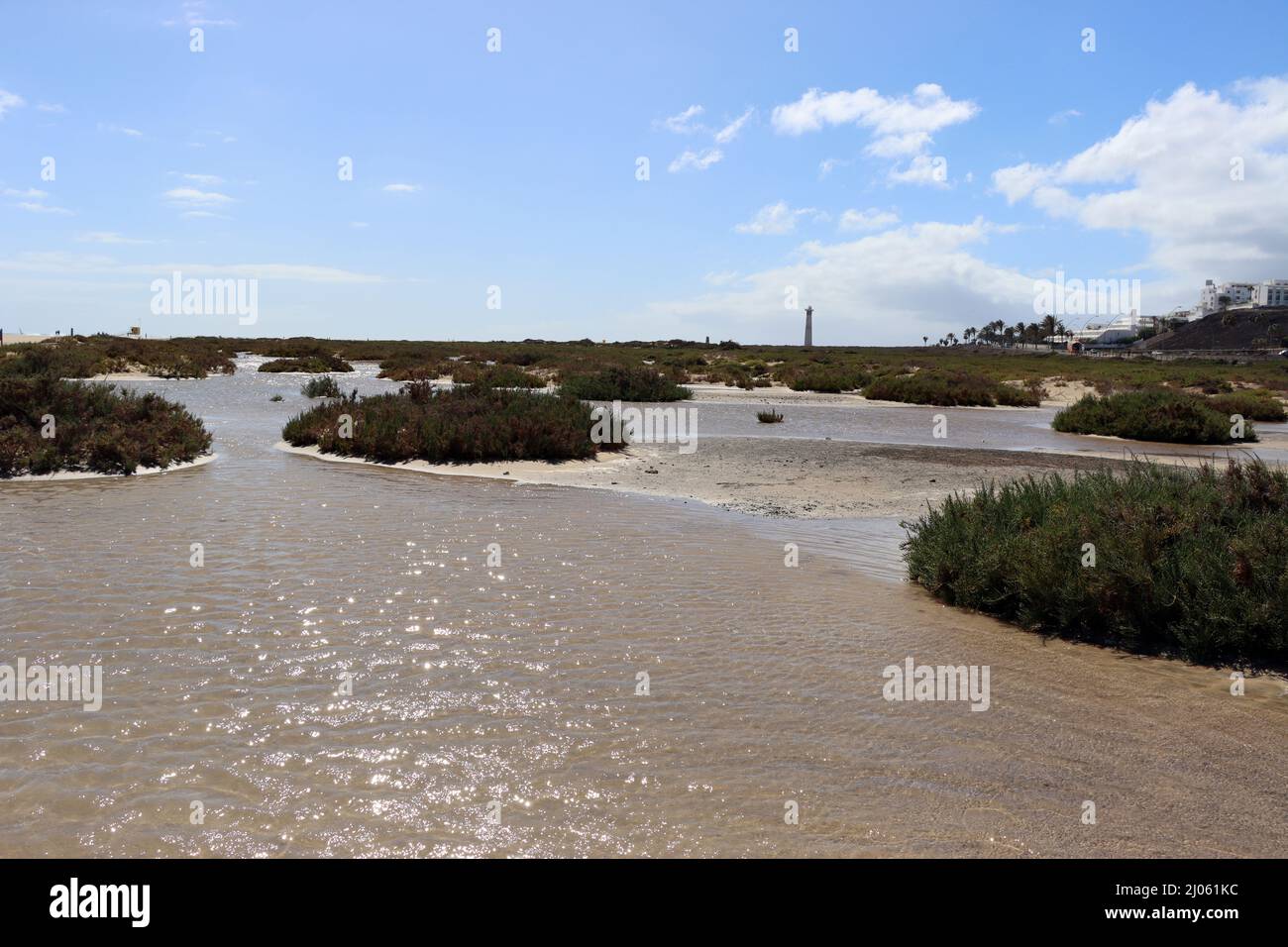 Saladar de Jandía, ein Feuchtgebiet und Naturschutzgebiet an der Playa del Matorral, das zeitweise von Meerwasser überflutet wird, Fuerteventura, Span Stock Photo