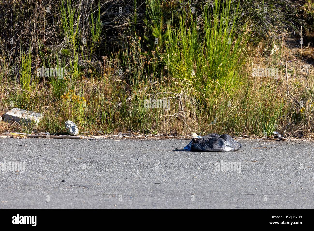black trash bag laying in the road near weeds Stock Photo Alamy
