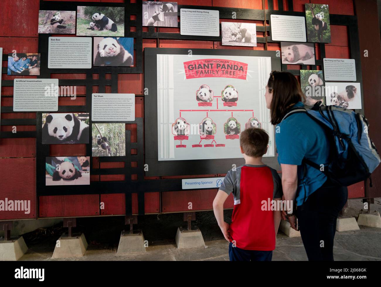 Washington, USA. 16th Mar, 2022. Visitors look at the giant panda