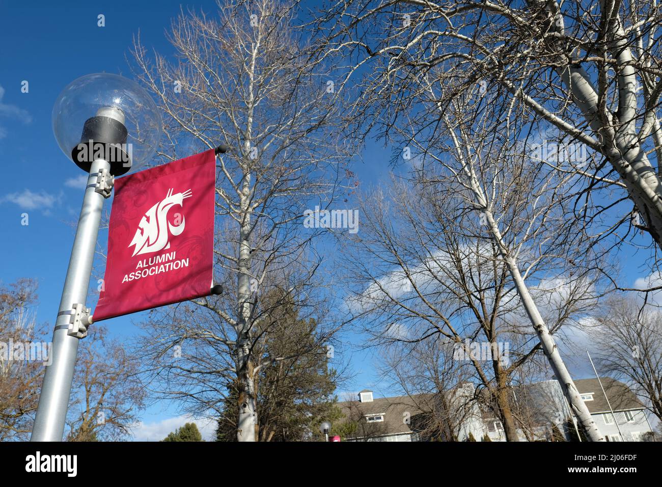 Alumni Association banner on a light post on the campus of Washington State University in Pullman, Washington, USA; WSU logo. Stock Photo