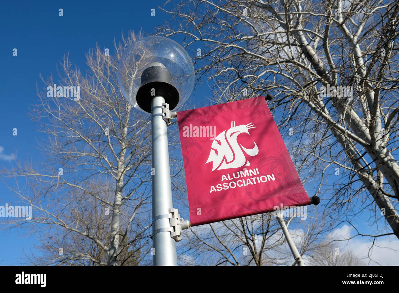 Alumni Association banner on a light post on the campus of Washington State University in Pullman, Washington, USA; WSU logo. Stock Photo