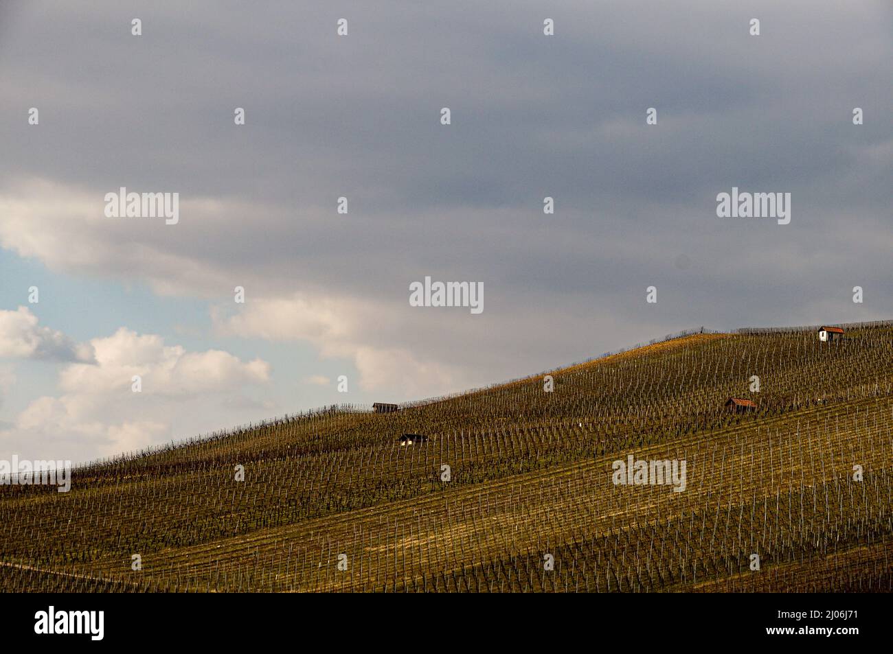 Landscape of an agricultural field under a cloudy sky Stock Photo - Alamy