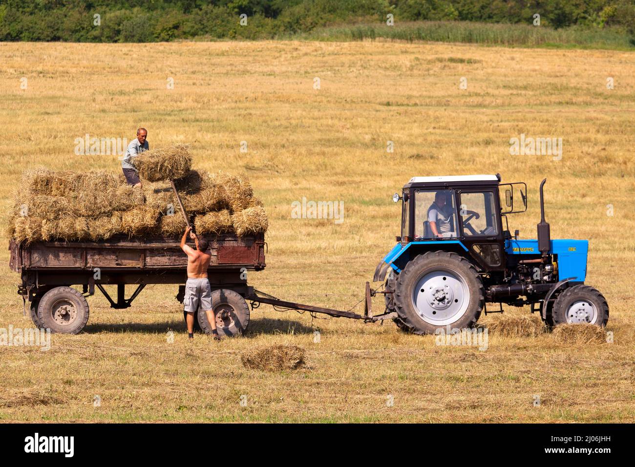 Farmers and tractor bringing in harvest in Galicia, western Ukraine Stock Photo