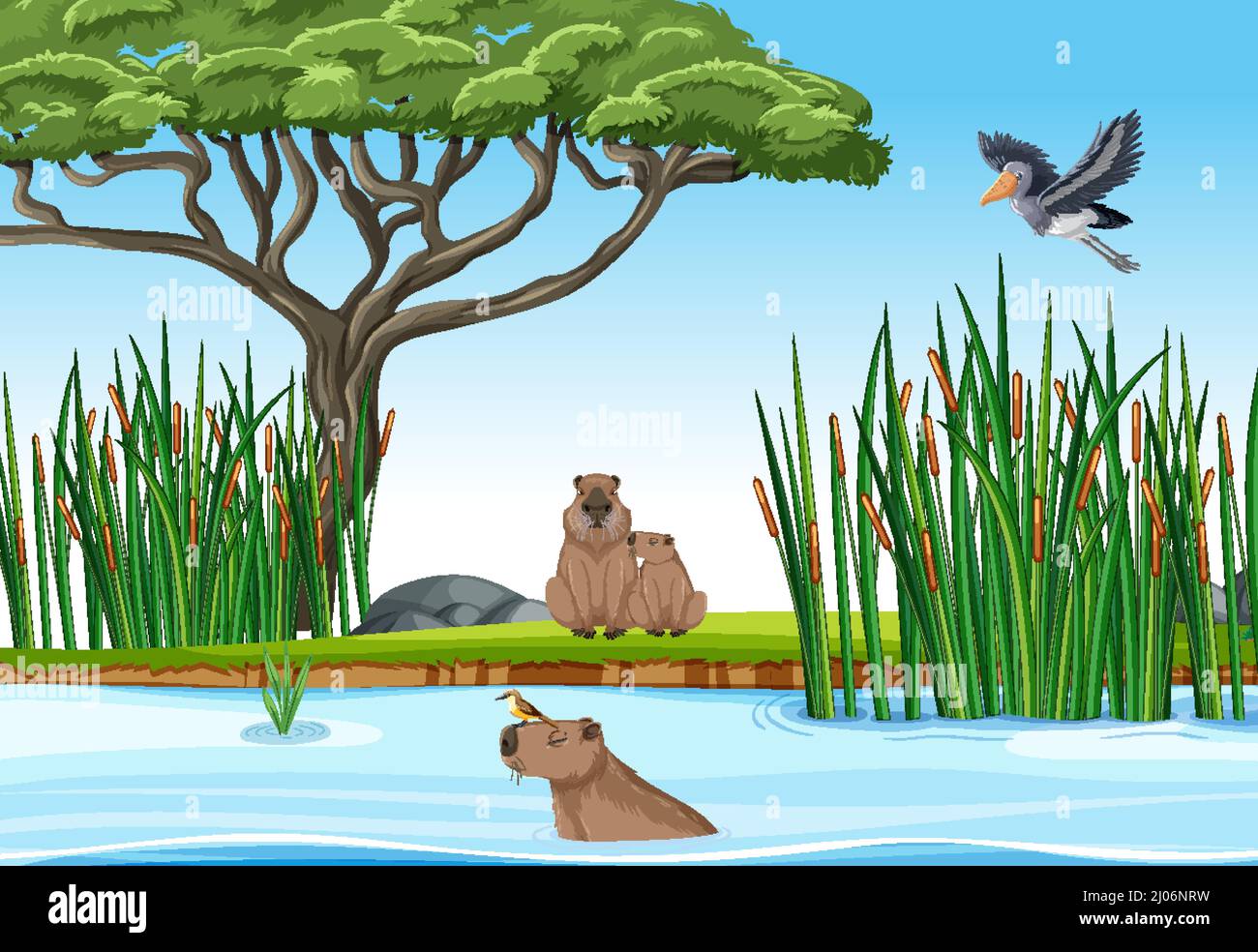 Scene with wild animals in the forest illustration Stock Vector Image ...