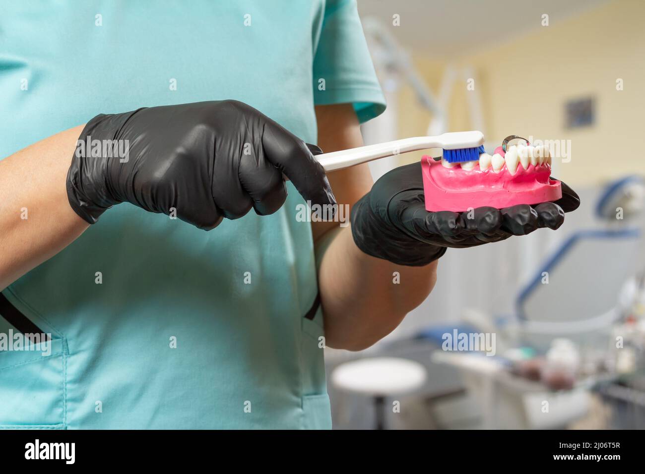 Close-up view of dentist's hands with a human jaw layout and a ...