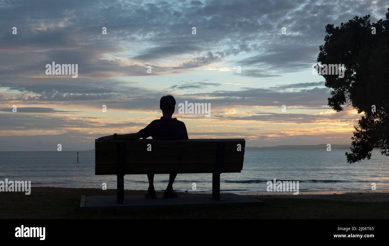 Silhouette man sitting on the bench facing the sea at dawn. Pohutukawa tree by the side. Auckland. Stock Photo