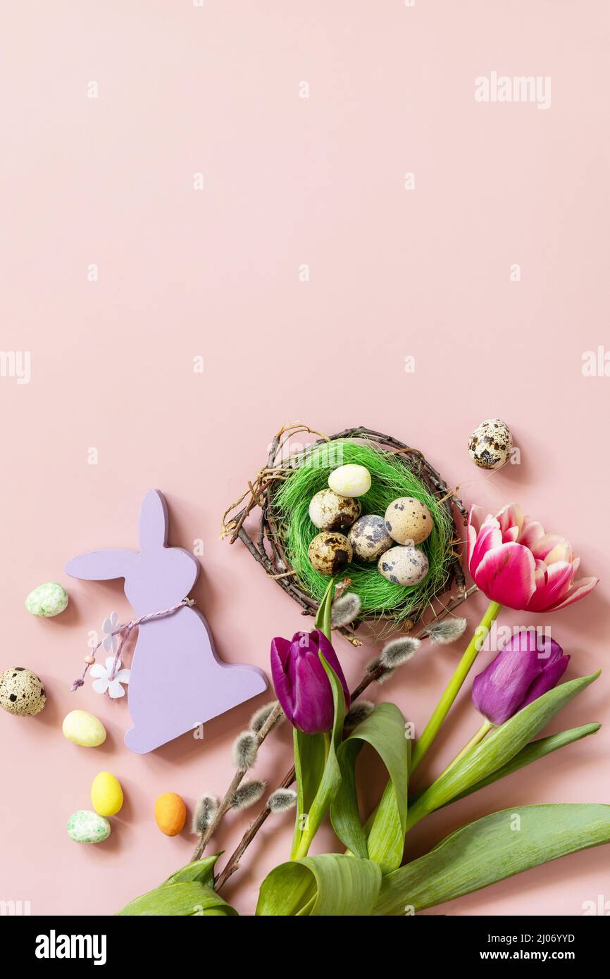 Pink and purple tulips with colorful quail eggs in a nest over pink ...