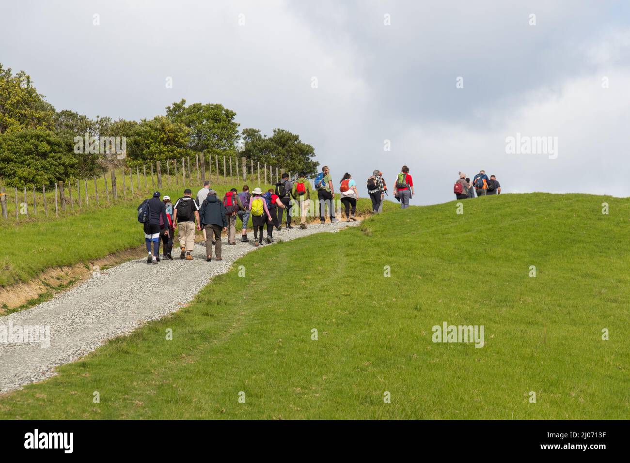 The view of people walking on a track path at Shakespear Regional Park