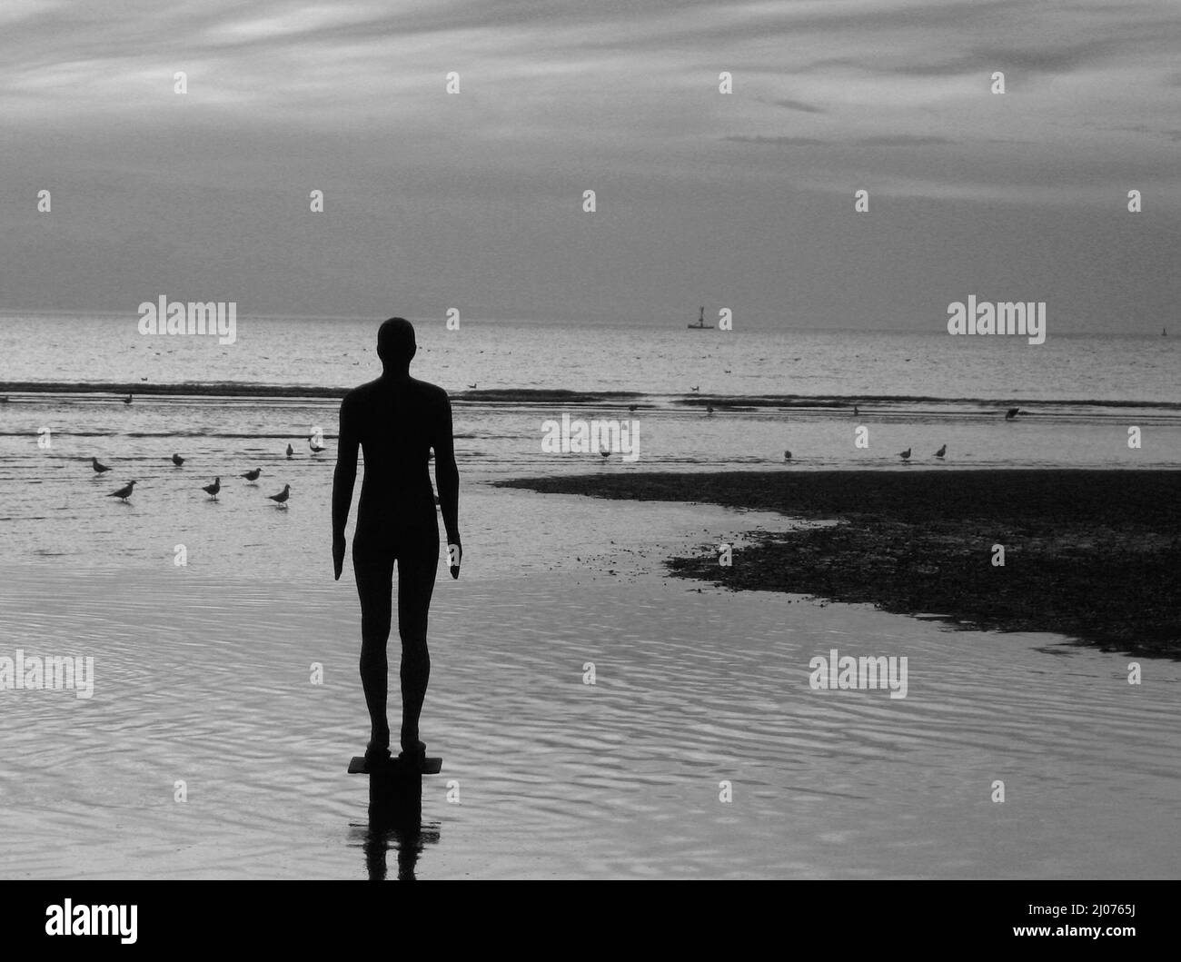 These spectacular sculptures by Antony Gormley are on Crosby beach,near