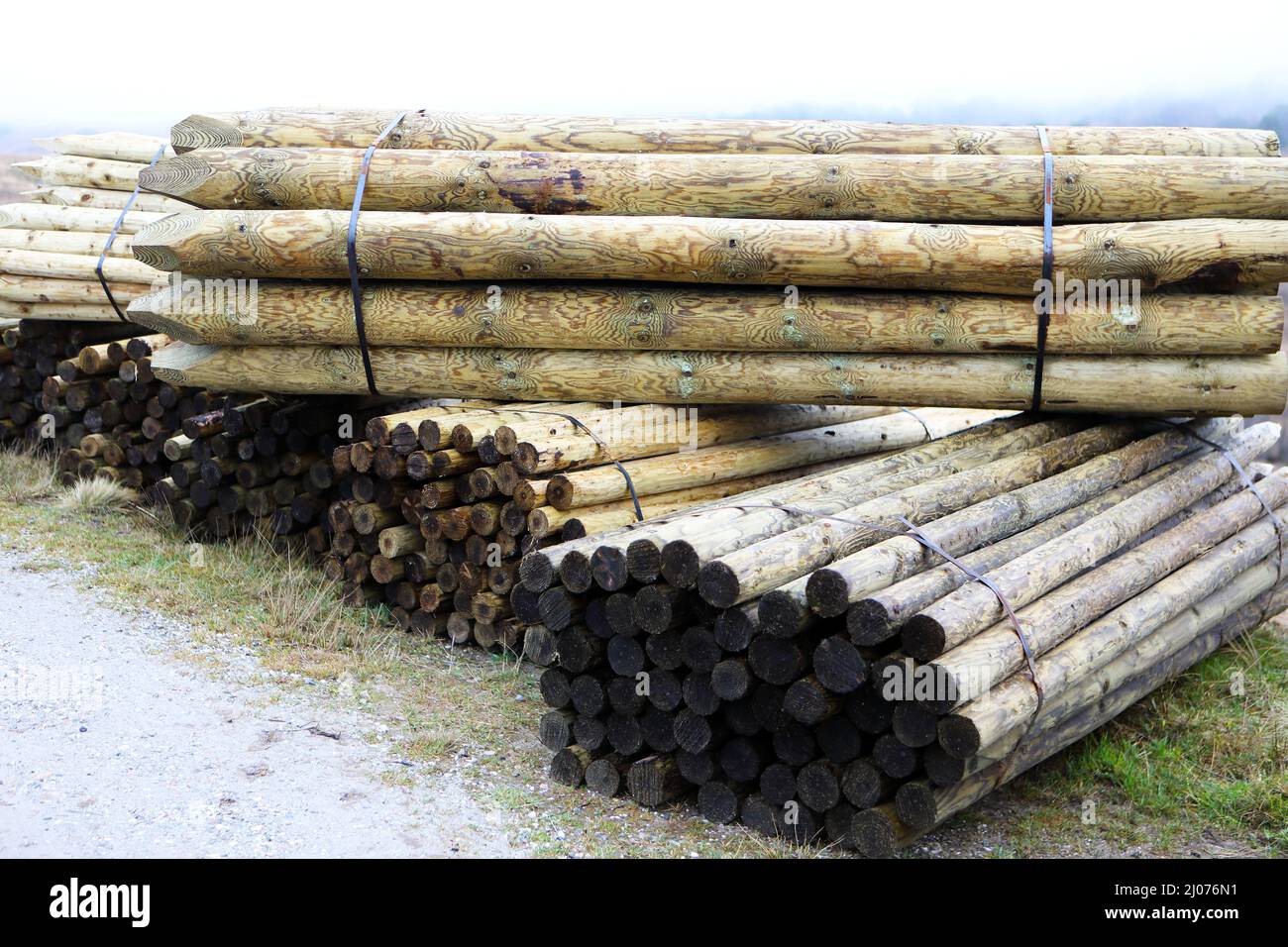 Wooden fence posts Stock Photo