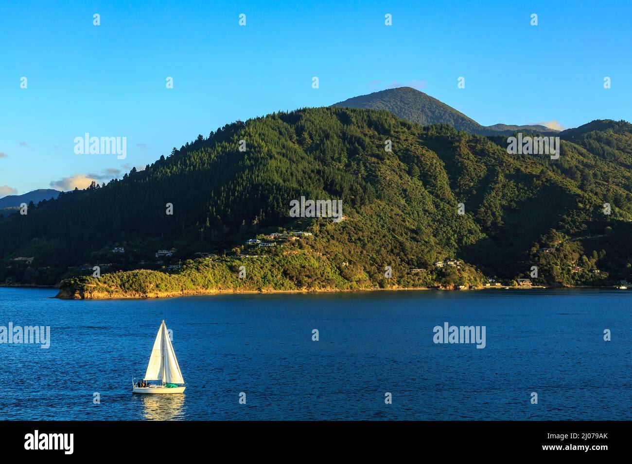 A yacht cruising along the mountainous coastline of Queen Charlotte Sound in the Marlborough Sounds, New Zealand Stock Photo