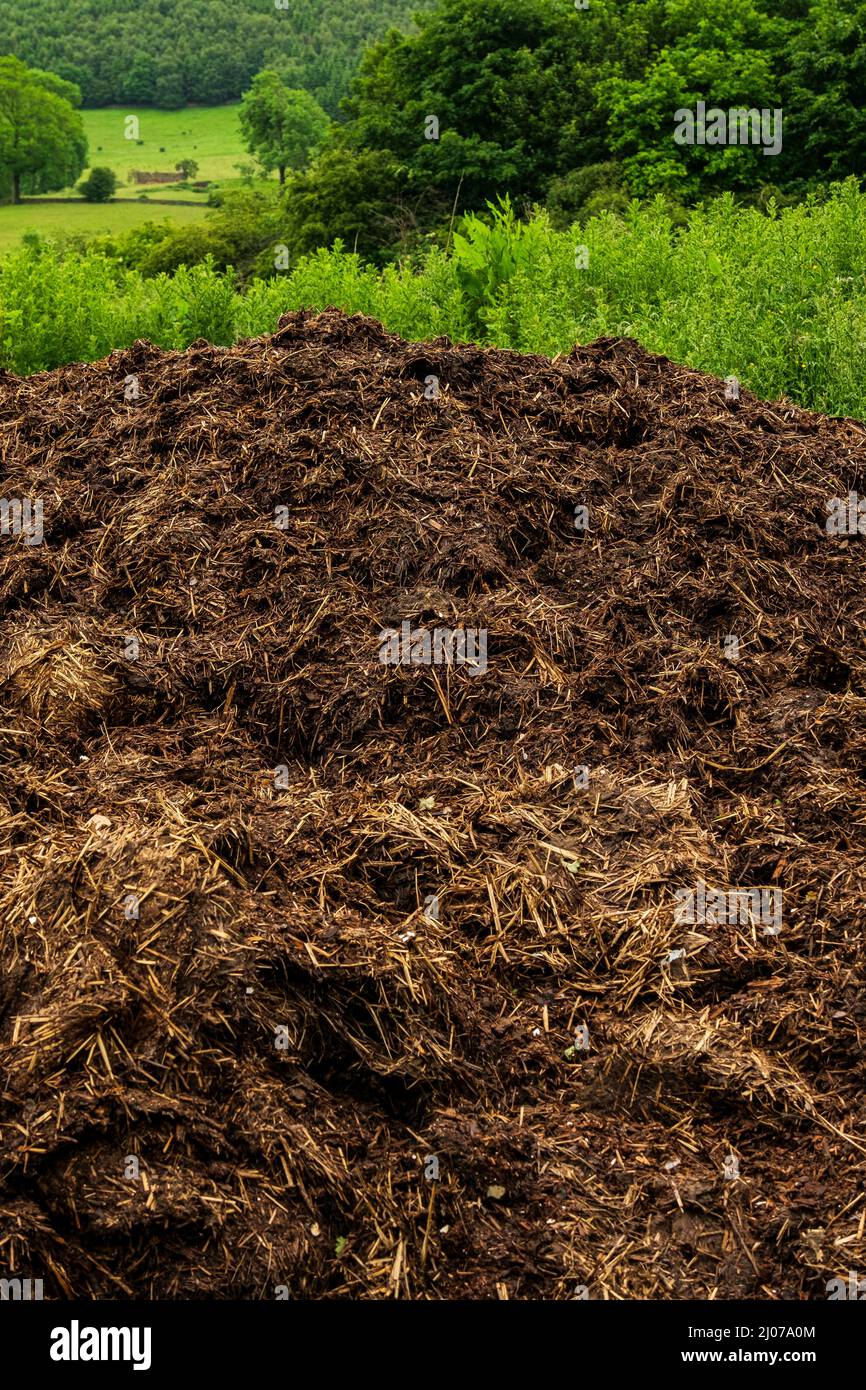 Big pile of manure in a field Stock Photo Alamy