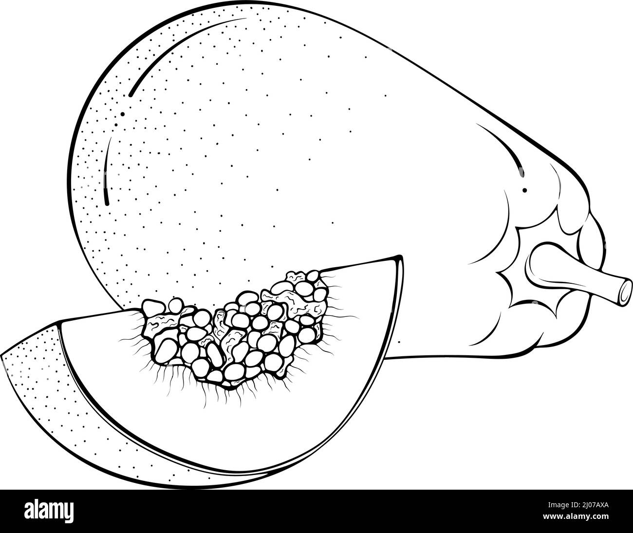 Whole and sliced papaya Stock Vector Image & Art Alamy