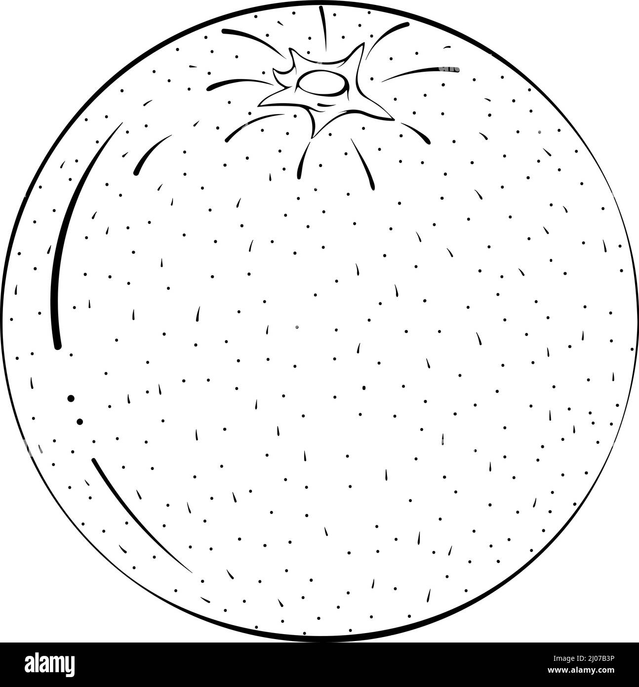 Whole orange line art Stock Vector Image & Art - Alamy