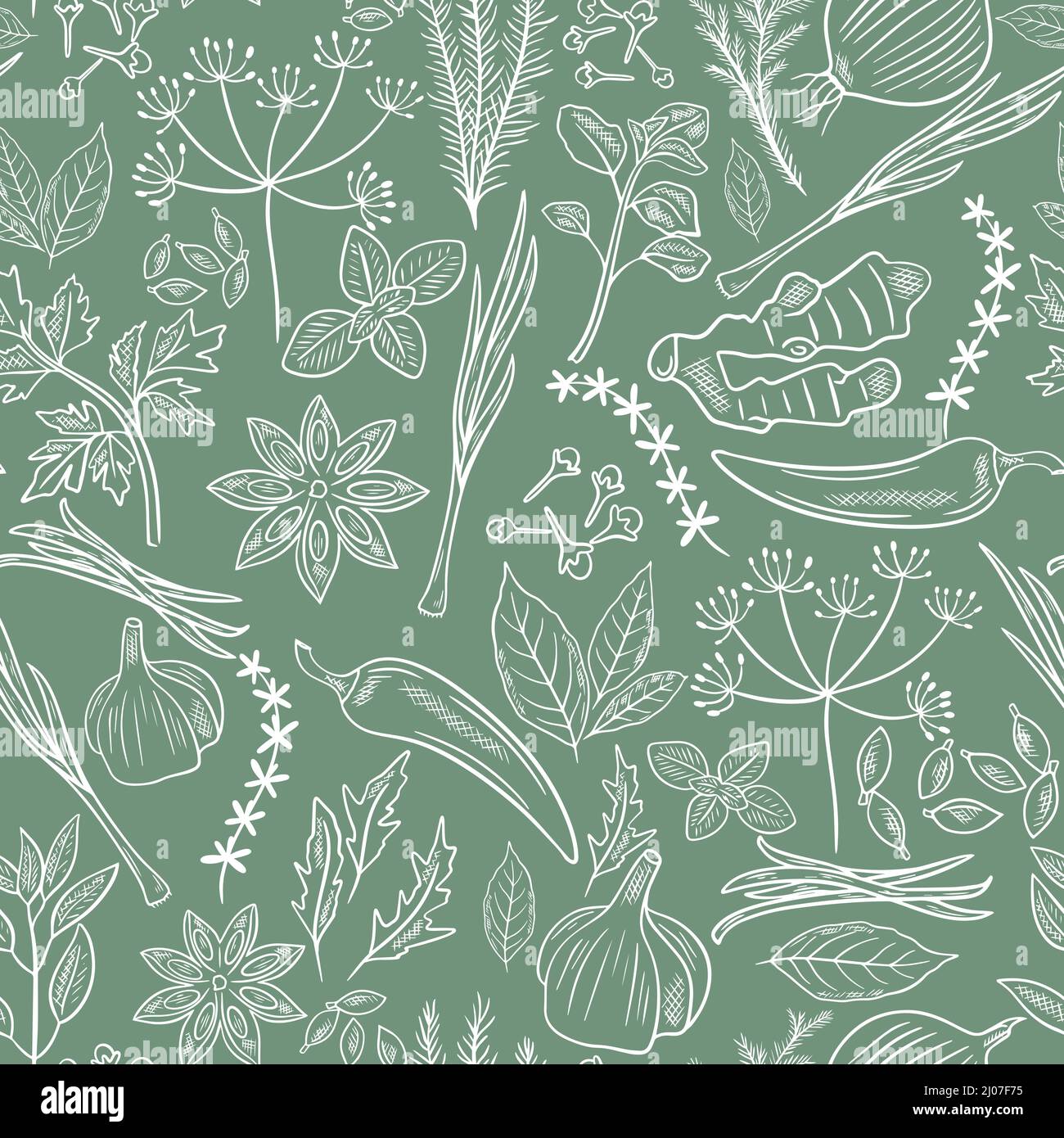 Spices, herbs and herbs hand engraved seamless pattern. Background natural culinary spices sketch. White flavored food additives. Template for packagi Stock Vector