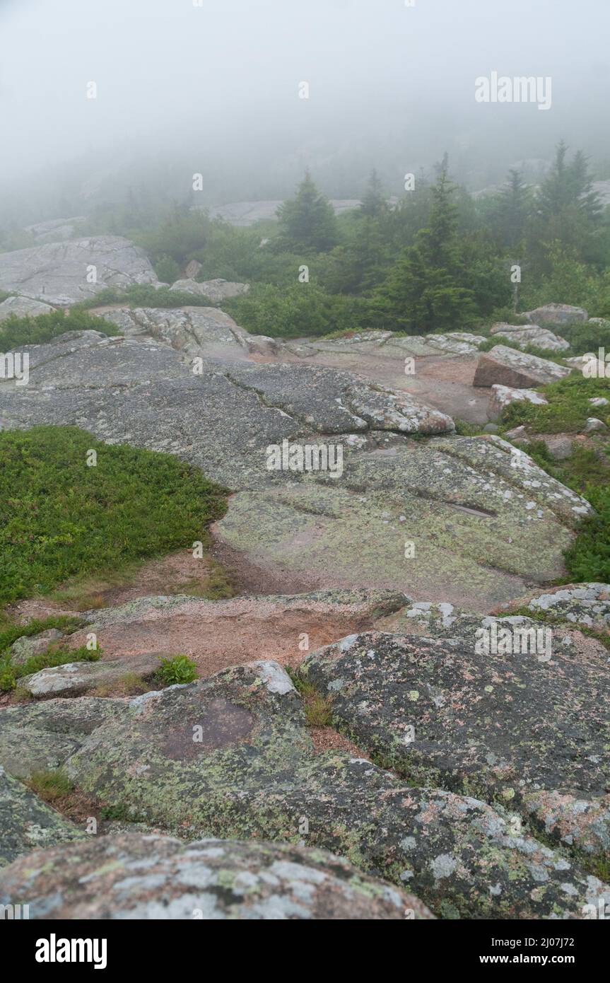 Foggy mountain view in Acadia Stock Photo - Alamy