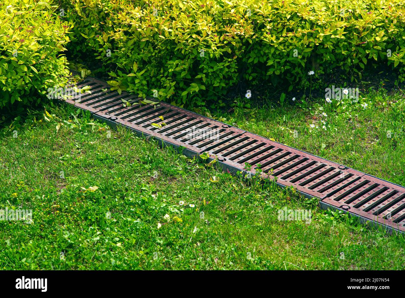 rusty grate drainage system on turf lawn with green grass and foliage bushes in the backyard garden, rainwater drainage system in the park among the p Stock Photo